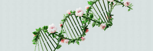 Did One Tiny Tweak Just Solve Heart Disease?