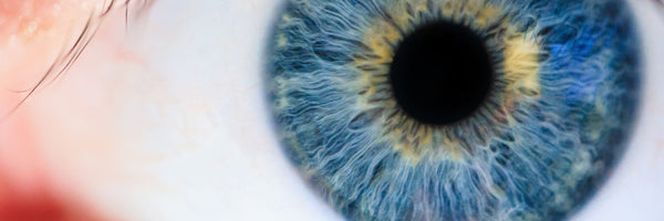 Do GLP-1 Drugs Cause Blindness? What The Evidence Shows