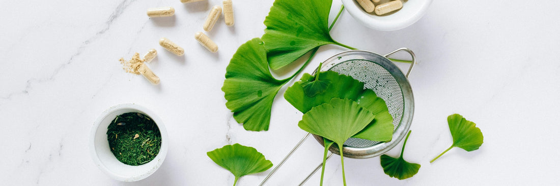 Ginkgo Biloba: Benefits, Forms, Dosing, and Side Effects