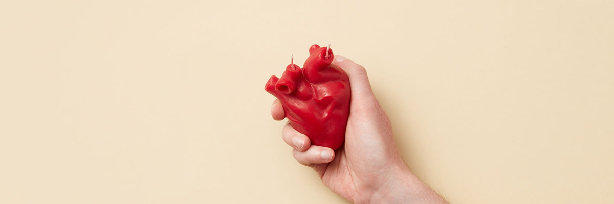 LDL, ApoB and Heart Attack Risk: What the Evidence Shows