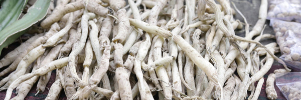 Maca: Benefits, Forms, Dosing, and Side Effects