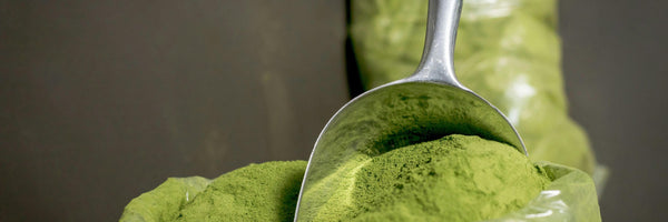 What They’re HIDING About Lead Found in Protein Powders